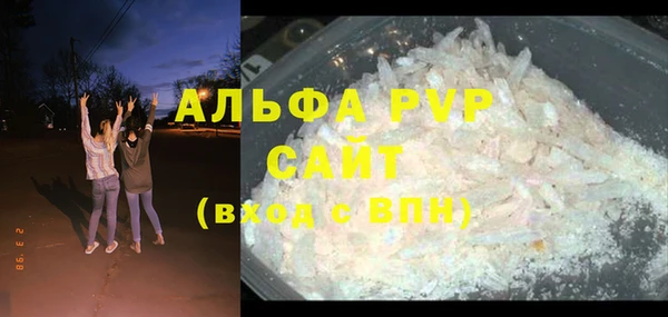 сатива Аркадак