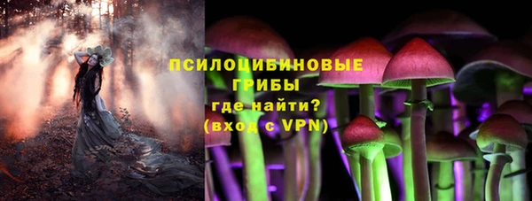 apvp Армянск