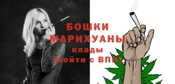 сатива Аркадак