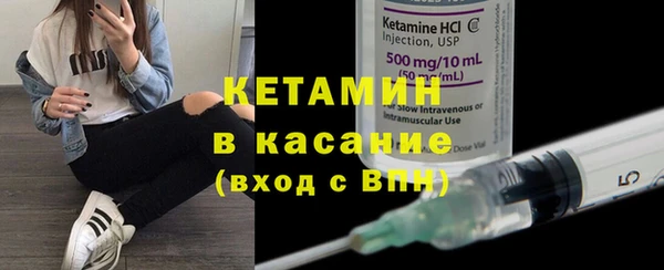 сатива Аркадак