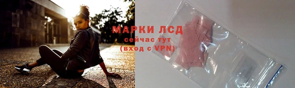 трава Арсеньев