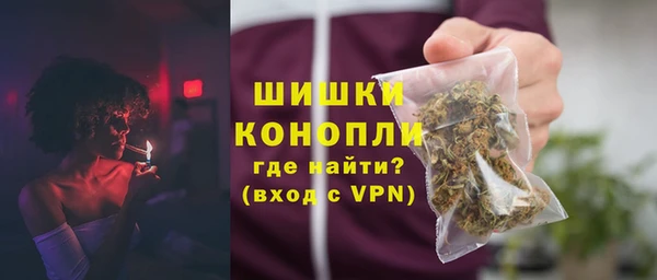 трава Арсеньев