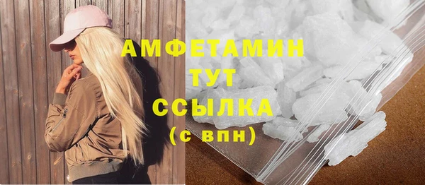 сатива Аркадак
