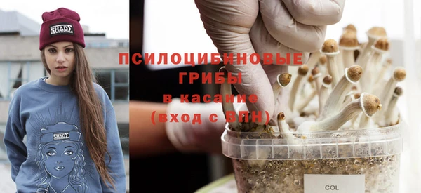 трава Арсеньев