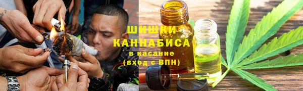 трава Арсеньев